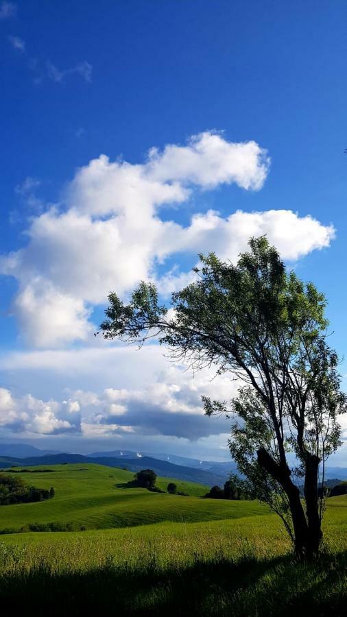Borgo Fontaccia Bed & Breakfast San Gimignano Dış mekan fotoğraf